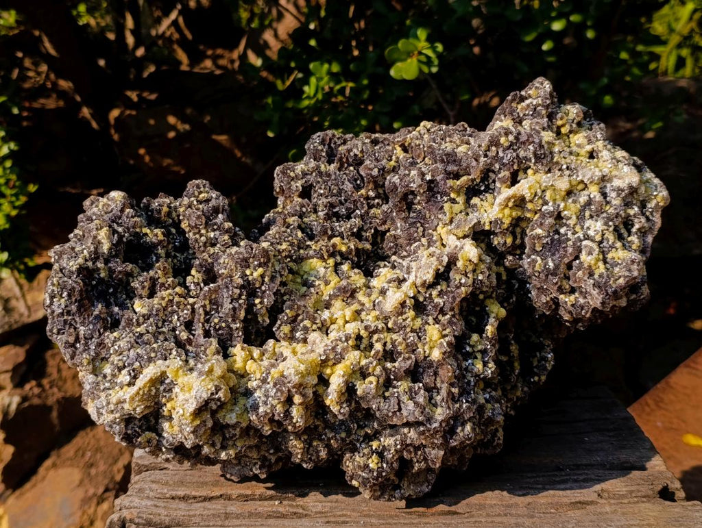Natural XXL Smokey Fluorite Specimen with Yellow Muscovite Mica and Hyalite Opal x 1 From Erongo, Namibia - Toprock Gemstones and Minerals 