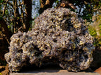 Natural XXL Smokey Fluorite Specimen with Yellow Muscovite Mica and Hyalite Opal x 1 From Erongo, Namibia - Toprock Gemstones and Minerals 