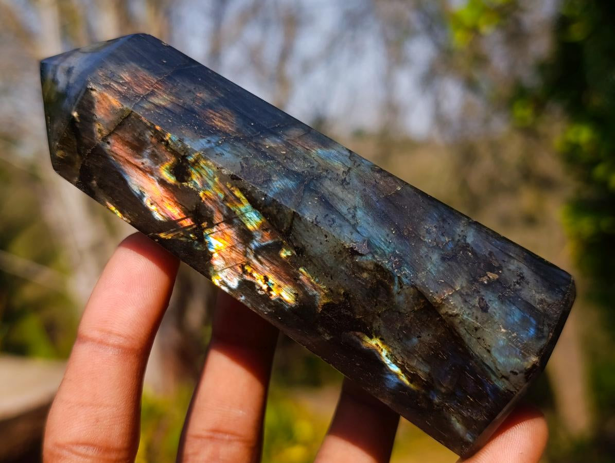 Polished Labradorite Display Crystals x 6 From Madagascar - Toprock Gemstones and Minerals 