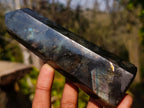 Polished Labradorite Display Crystals x 6 From Madagascar - Toprock Gemstones and Minerals 