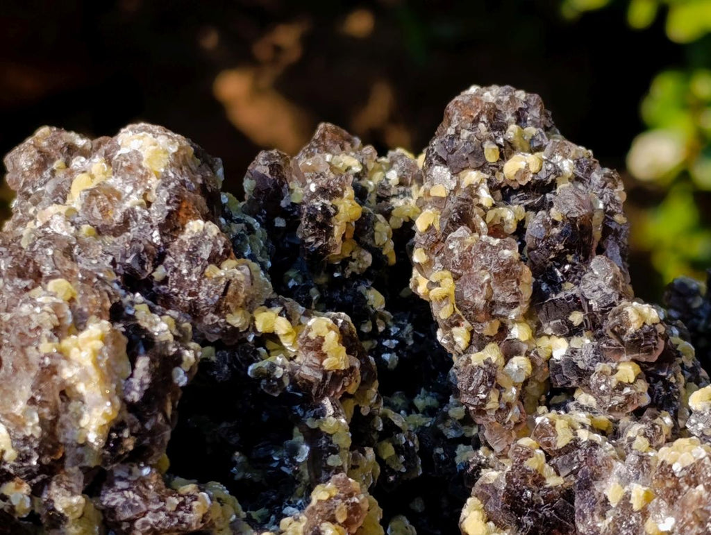 Natural XXL Smokey Fluorite Specimen with Yellow Muscovite Mica and Hyalite Opal x 1 From Erongo, Namibia - Toprock Gemstones and Minerals 