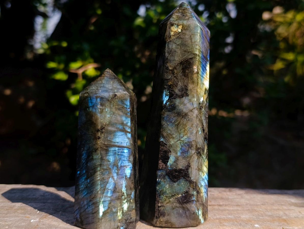 Polished Labradorite Display Crystals x 6 From Madagascar - Toprock Gemstones and Minerals 