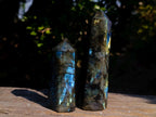 Polished Labradorite Display Crystals x 6 From Madagascar - Toprock Gemstones and Minerals 