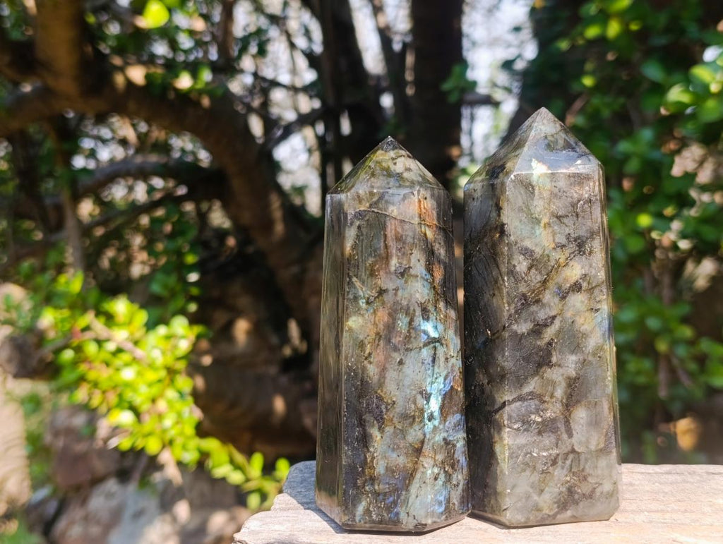 Polished Labradorite Display Crystals x 6 From Madagascar - Toprock Gemstones and Minerals 