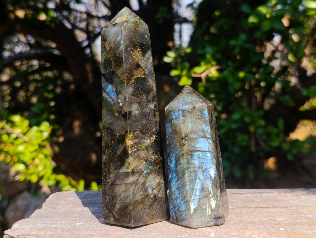 Polished Labradorite Display Crystals x 6 From Madagascar - Toprock Gemstones and Minerals 