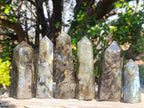 Polished Labradorite Display Crystals x 6 From Madagascar - Toprock Gemstones and Minerals 