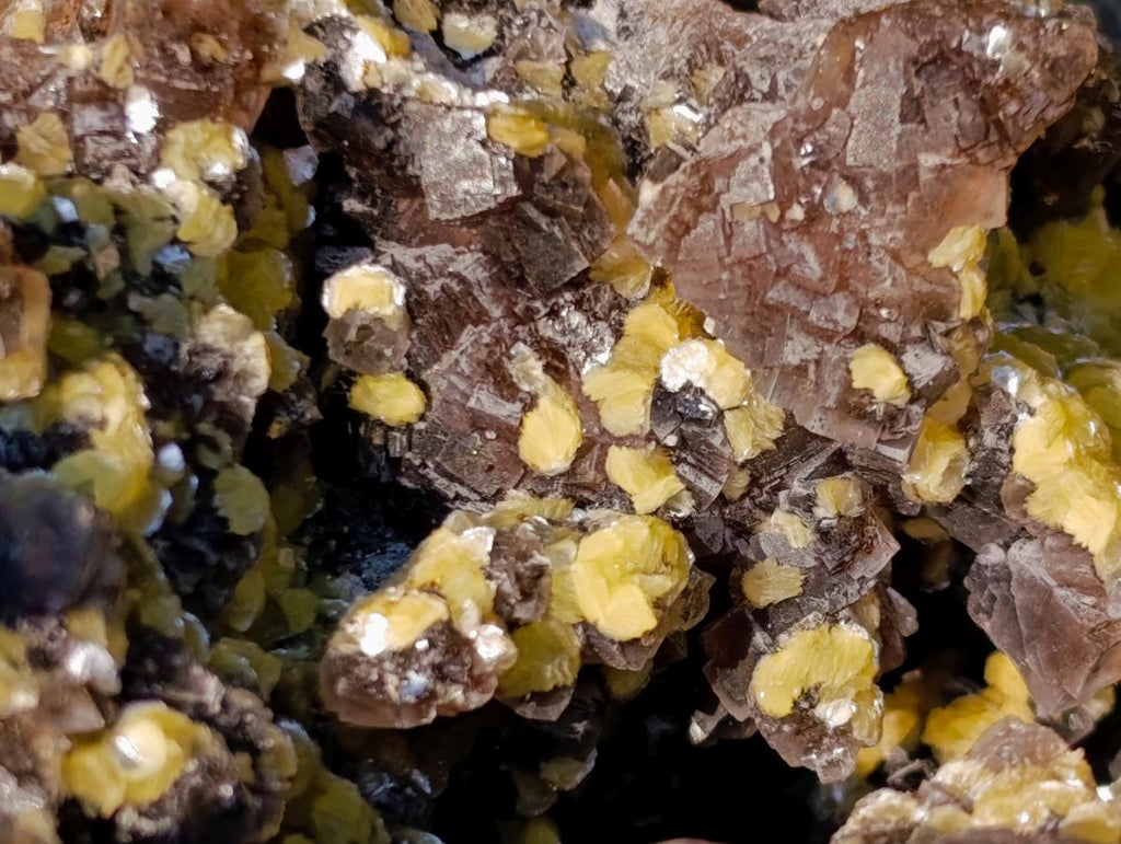 Natural XXL Smokey Fluorite Specimen with Yellow Muscovite Mica and Hyalite Opal x 1 From Erongo, Namibia - Toprock Gemstones and Minerals 