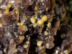 Natural XXL Smokey Fluorite Specimen with Yellow Muscovite Mica and Hyalite Opal x 1 From Erongo, Namibia - Toprock Gemstones and Minerals 