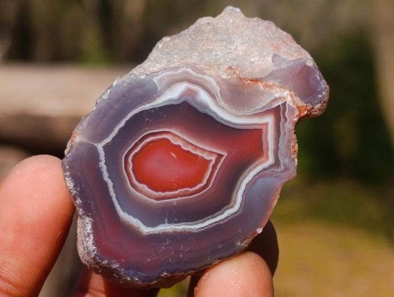Polished One Side Red Shashe River Agate Nodules x 35 From Shashe River, Zimbabwe - Toprock Gemstones and Minerals 