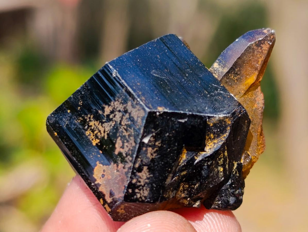Natural Schorl Black Tourmaline with Associated Minerals x 79 From Erongo, Namibia - Toprock Gemstones and Minerals 