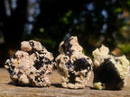 Natural Schorl Black Tourmaline with Associated Minerals x 79 From Erongo, Namibia - Toprock Gemstones and Minerals 