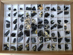 Natural Schorl Black Tourmaline with Associated Minerals x 79 From Erongo, Namibia - Toprock Gemstones and Minerals 