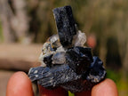 Natural Schorl Black Tourmaline with Associated Minerals x 79 From Erongo, Namibia - Toprock Gemstones and Minerals 