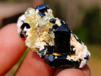 Natural Schorl Black Tourmaline with Associated Minerals x 79 From Erongo, Namibia - Toprock Gemstones and Minerals 