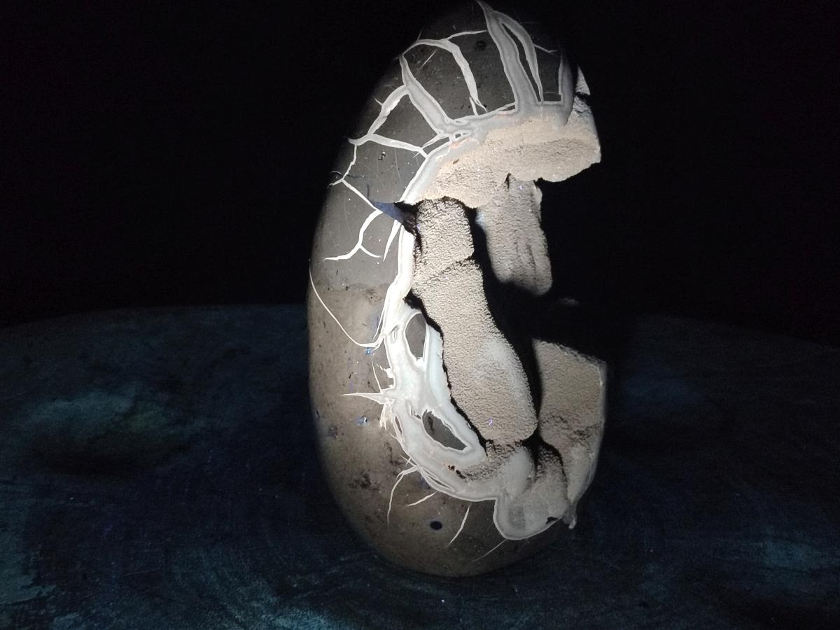 Polished and Natural Large Septerye Sauvage "Dragons Egg" Standing Display Piece x 1 From Mahajanga, Madagascar - Toprock Gemstones and Minerals 