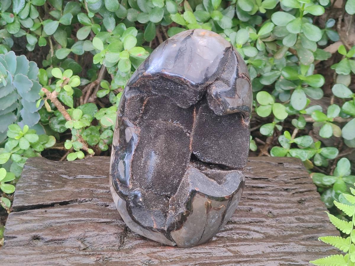 Polished and Natural Large Septerye Sauvage "Dragons Egg" Standing Display Piece x 1 From Mahajanga, Madagascar - Toprock Gemstones and Minerals 