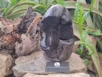 Polished and Natural Large Septerye Sauvage "Dragons Egg" Standing Display Piece x 1 From Mahajanga, Madagascar - Toprock Gemstones and Minerals 