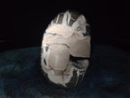 Polished and Natural Large Septerye Sauvage "Dragons Egg" Standing Display Piece x 1 From Mahajanga, Madagascar - Toprock Gemstones and Minerals 
