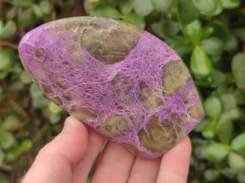 Polished Stichtite Standing Display Pieces x 4 From Barberton, South Africa - Toprock Gemstones and Minerals 