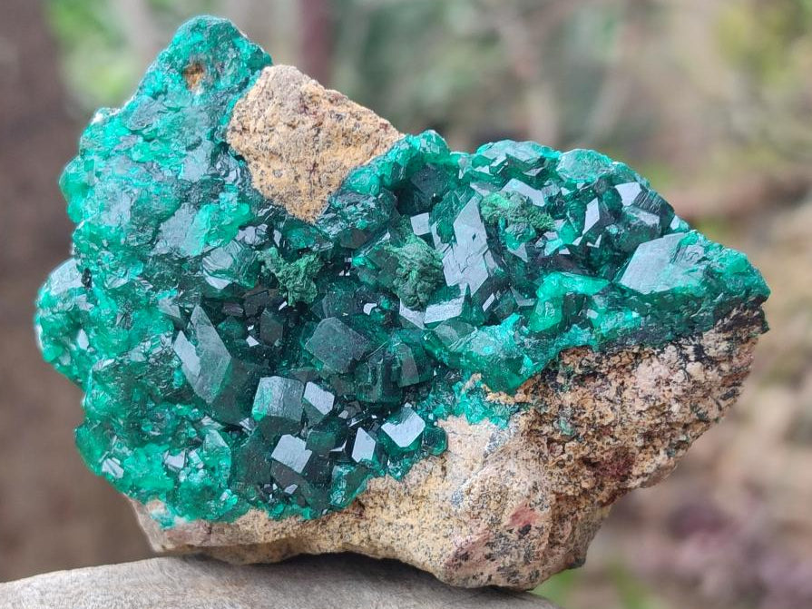 Natural Dioptase on Dolomite Specimens x 3 From Mashamba East Mine, Congo - Toprock Gemstones and Minerals 
