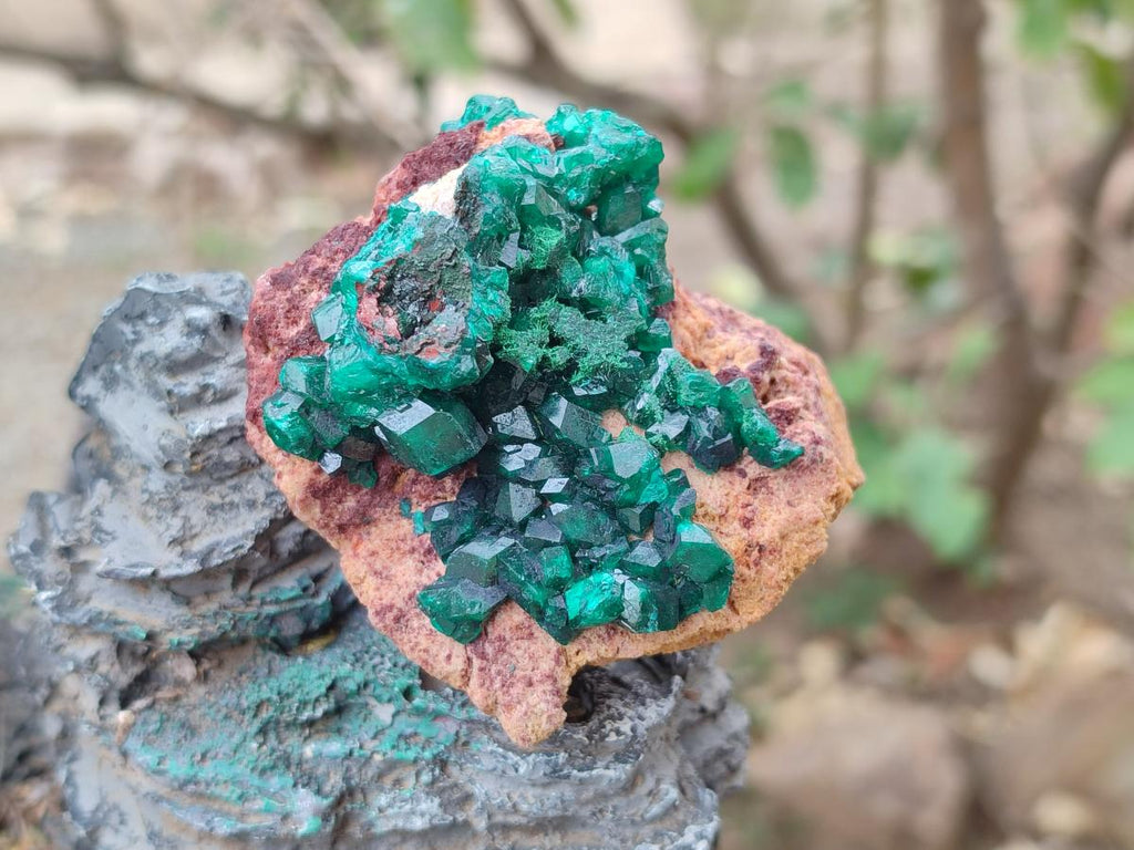 Natural Dioptase on Dolomite Specimens x 3 From Mashamba East Mine, Congo - Toprock Gemstones and Minerals 