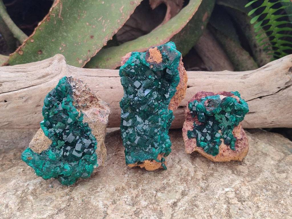 Natural Dioptase on Dolomite Specimens x 3 From Mashamba East Mine, Congo - Toprock Gemstones and Minerals 