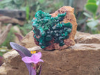 Natural Dioptase on Dolomite Specimens x 3 From Mashamba East Mine, Congo - Toprock Gemstones and Minerals 