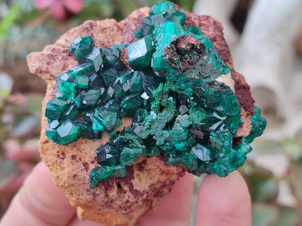 Natural Dioptase on Dolomite Specimens x 3 From Mashamba East Mine, Congo - Toprock Gemstones and Minerals 