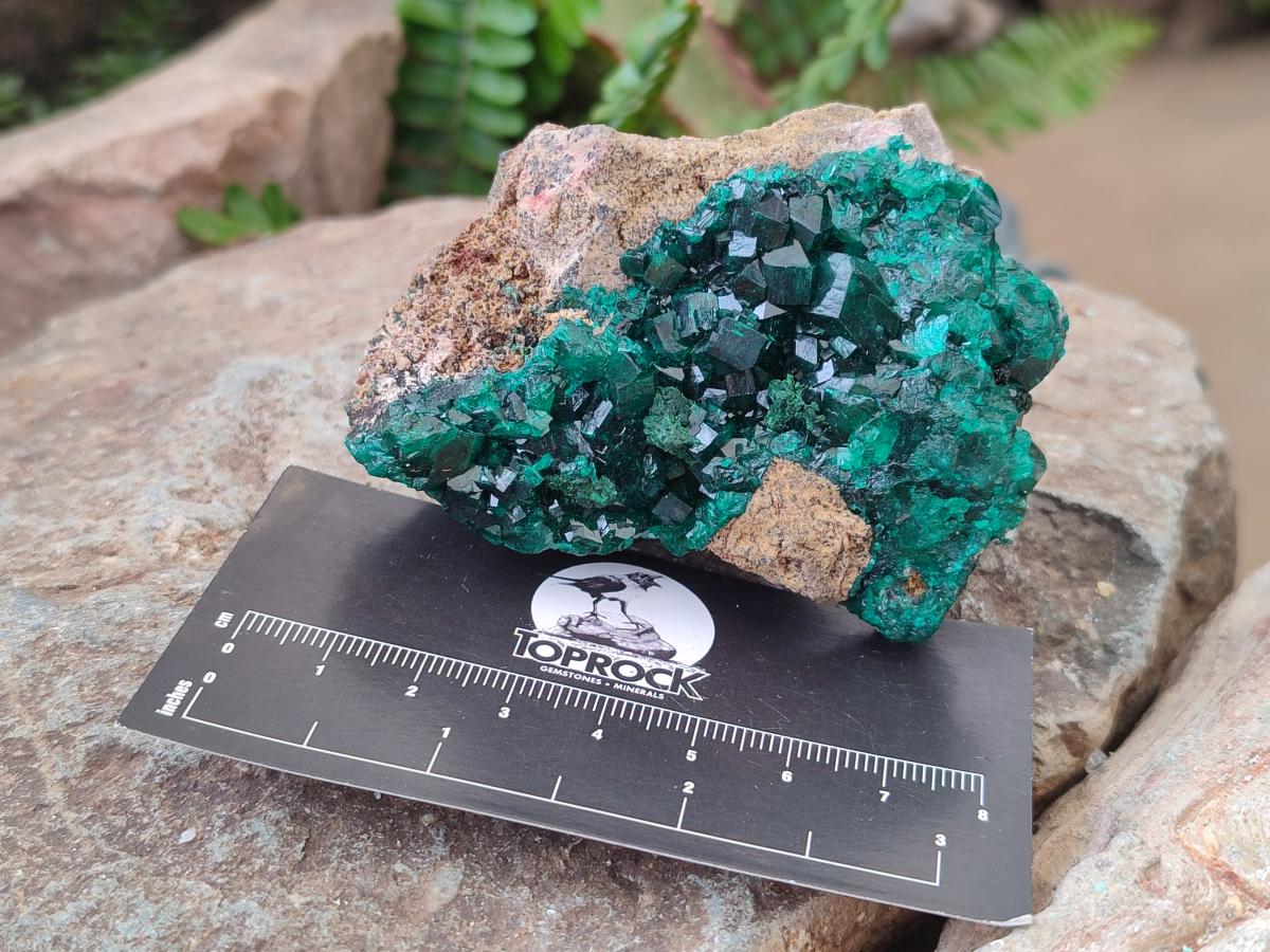 Natural Dioptase on Dolomite Specimens x 3 From Mashamba East Mine, Congo - Toprock Gemstones and Minerals 