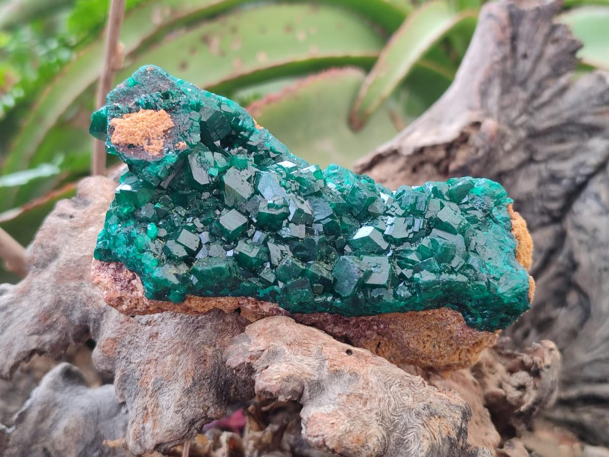 Natural Dioptase on Dolomite Specimens x 3 From Mashamba East Mine, Congo - Toprock Gemstones and Minerals 