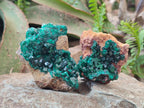 Natural Dioptase on Dolomite Specimens x 3 From Mashamba East Mine, Congo - Toprock Gemstones and Minerals 