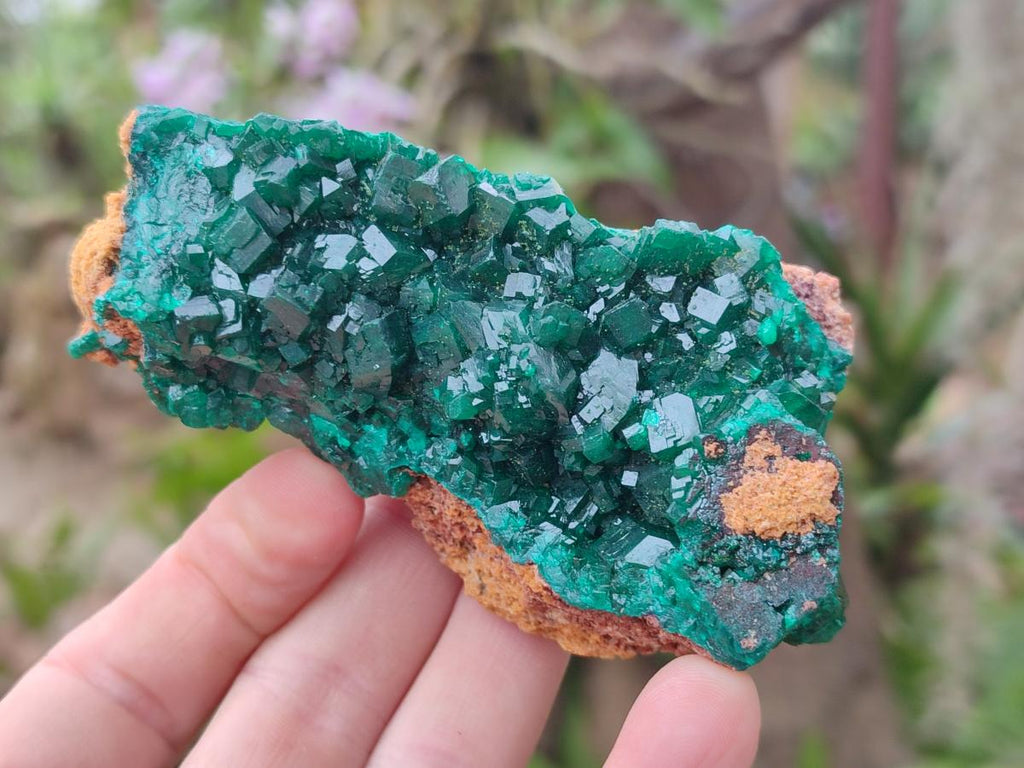 Natural Dioptase on Dolomite Specimens x 3 From Mashamba East Mine, Congo - Toprock Gemstones and Minerals 