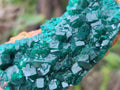 Natural Dioptase on Dolomite Specimens x 3 From Mashamba East Mine, Congo - Toprock Gemstones and Minerals 