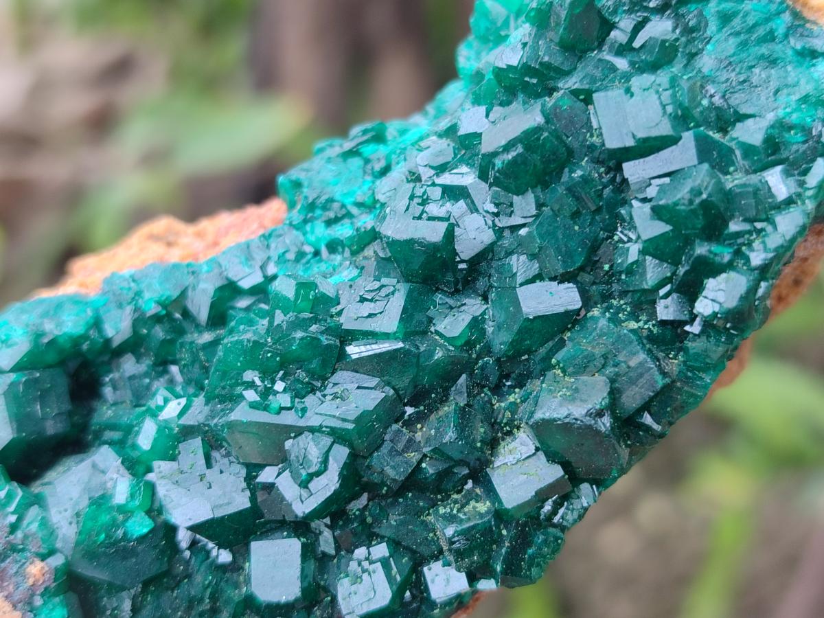 Natural Dioptase on Dolomite Specimens x 3 From Mashamba East Mine, Congo - Toprock Gemstones and Minerals 
