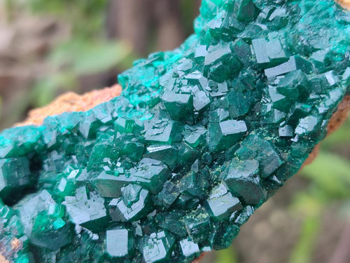 Natural Dioptase on Dolomite Specimens x 3 From Mashamba East Mine, Congo - Toprock Gemstones and Minerals 