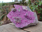 Natural Large Cabinet Size Salrose Cobaltoan Dolomite Specimen x 1 From Kakanda, Congo - Toprock Gemstones and Minerals 