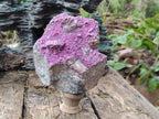 Natural Large Cabinet Size Salrose Cobaltoan Dolomite Specimen x 1 From Kakanda, Congo - Toprock Gemstones and Minerals 