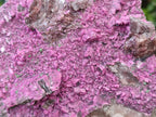 Natural Large Cabinet Size Salrose Cobaltoan Dolomite Specimen x 1 From Kakanda, Congo - Toprock Gemstones and Minerals 