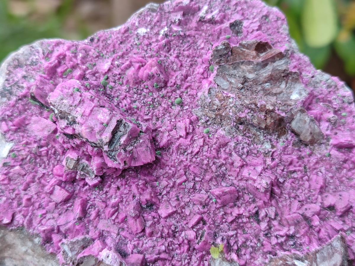 Natural Large Cabinet Size Salrose Cobaltoan Dolomite Specimen x 1 From Kakanda, Congo - Toprock Gemstones and Minerals 
