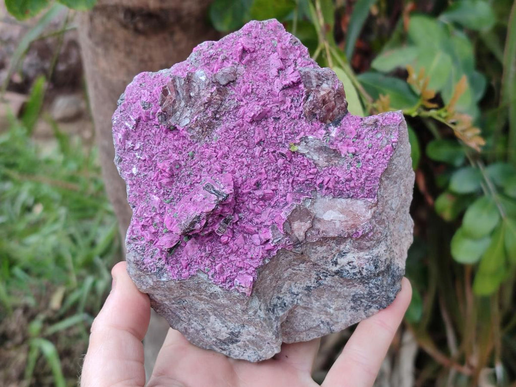 Natural Large Cabinet Size Salrose Cobaltoan Dolomite Specimen x 1 From Kakanda, Congo - Toprock Gemstones and Minerals 