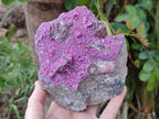 Natural Large Cabinet Size Salrose Cobaltoan Dolomite Specimen x 1 From Kakanda, Congo - Toprock Gemstones and Minerals 