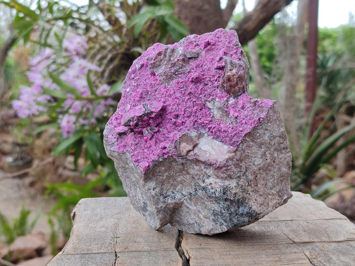 Natural Large Cabinet Size Salrose Cobaltoan Dolomite Specimen x 1 From Kakanda, Congo - Toprock Gemstones and Minerals 