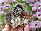 Natural Mix of Mineral Specimens x 6 From Erongo, Namibia - Toprock Gemstones and Minerals 