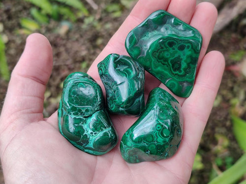 Polished Flower Banded Malachite Free Forms x 12 From Congo - Toprock Gemstones and Minerals 