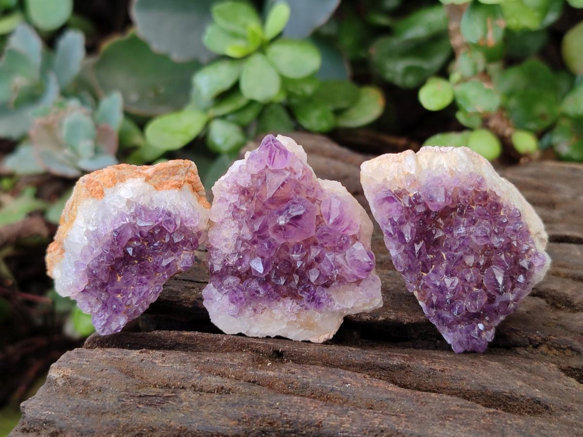 Natural Dark Purple Amethyst Clusters x 35 From Boekenhouthoek, South Africa - Toprock Gemstones and Minerals 