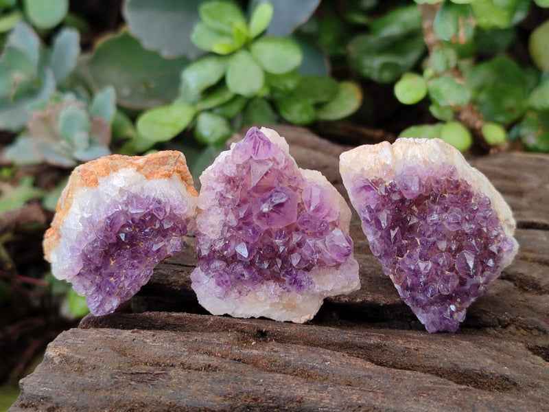 Natural Dark Purple Amethyst Clusters x 35 From Boekenhouthoek, South Africa - Toprock Gemstones and Minerals 