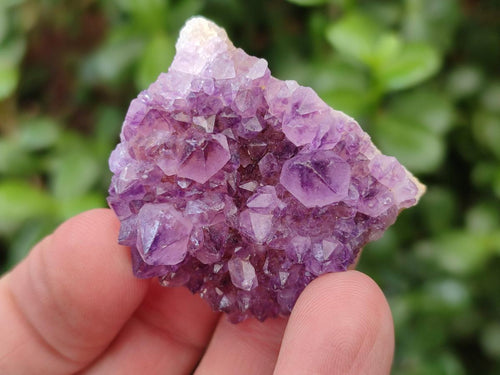 Natural Dark Purple Amethyst Clusters x 35 From Boekenhouthoek, South Africa - Toprock Gemstones and Minerals 