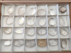 Polished Rock Crystal Galets x 24 From Amoron’i Mania, Madagascar - Toprock Gemstones and Minerals 
