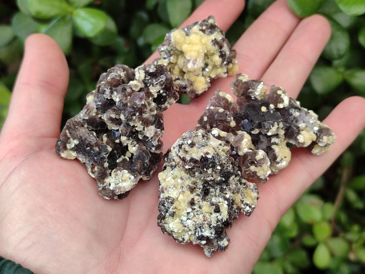 Natural Smokey Fluorite Specimens with Yellow Muscovite Mica x 35 From Erongo, Namibia - Toprock Gemstones and Minerals 