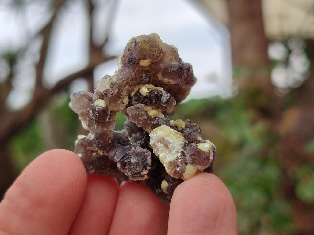 Natural Smokey Fluorite Specimens with Yellow Muscovite Mica x 35 From Erongo, Namibia - Toprock Gemstones and Minerals 